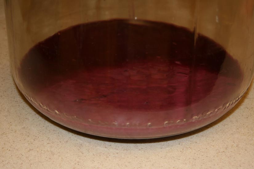 lees English to Albanian Wine / Oenology / Viticulture