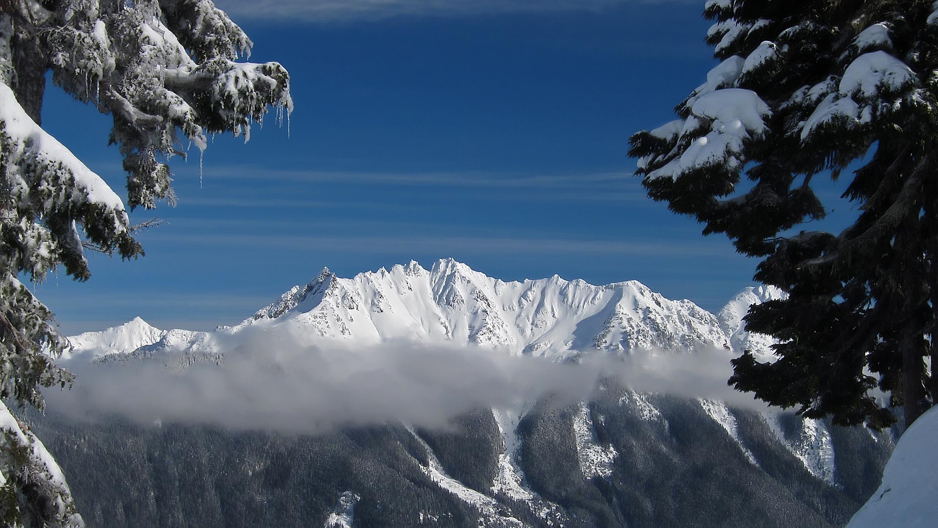 Winter in the northern Cascade Mountains